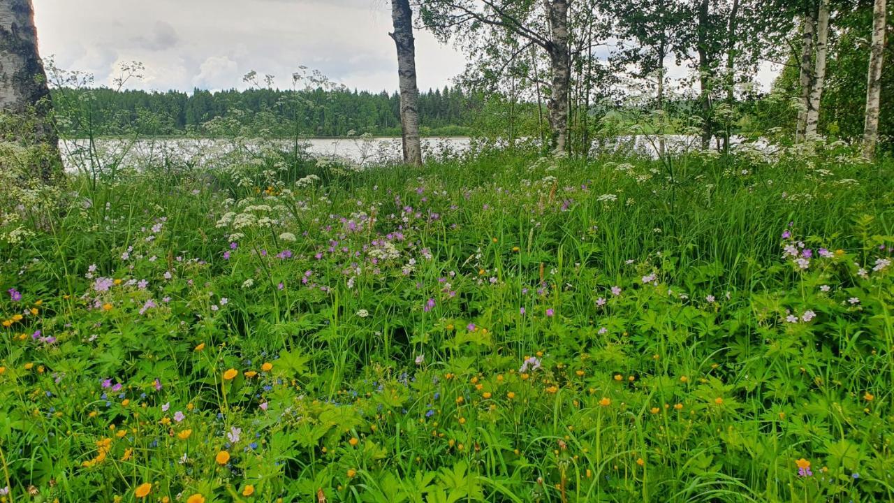 Viihtyisae Kolmio Jaerven Rannalla Haapavesi Luaran gambar